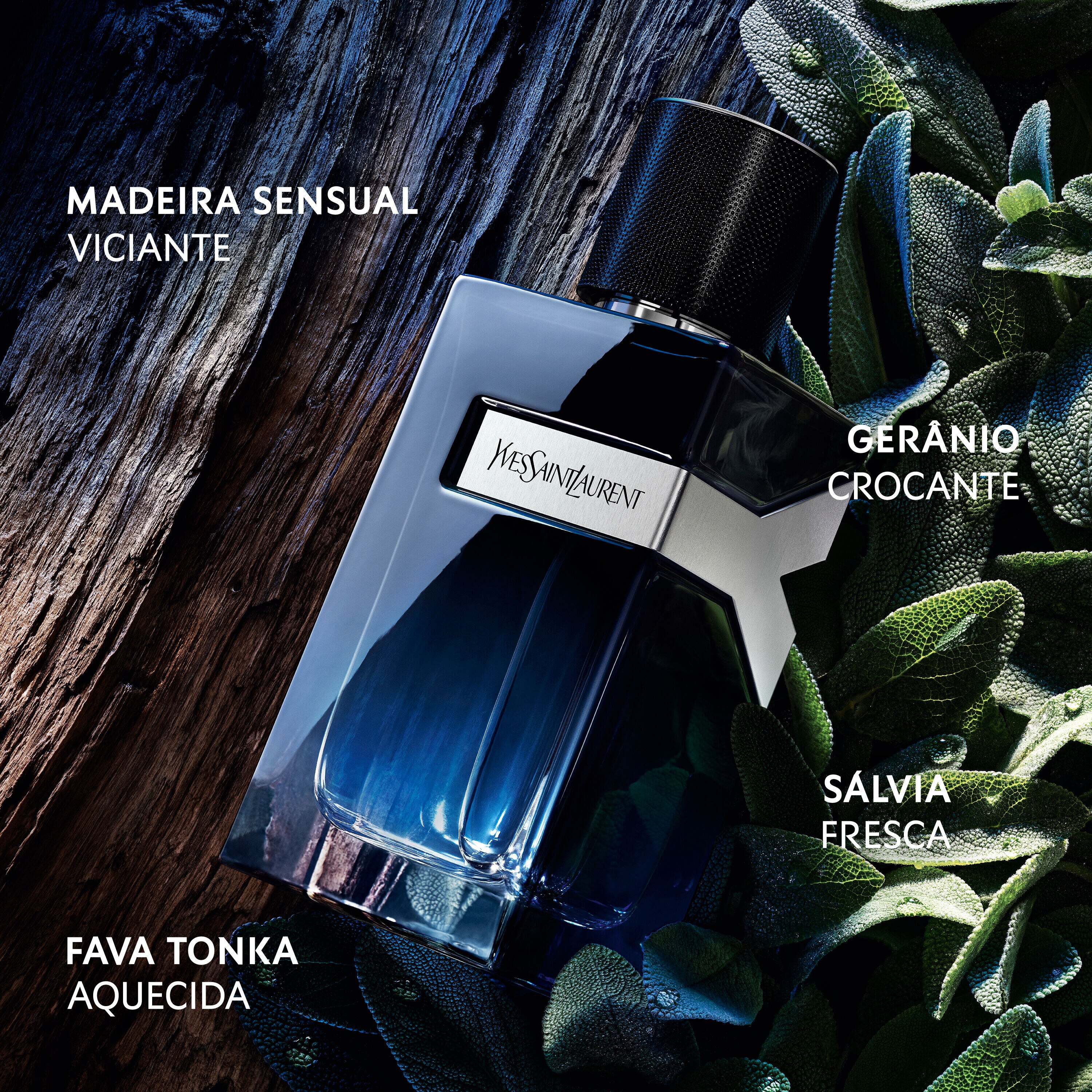 Perfume Y Yves Saint Laurent Masculino - Sephora